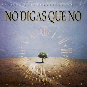 No digas que no by Akrep BF