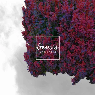 Genesis (Acoustic) by Olen