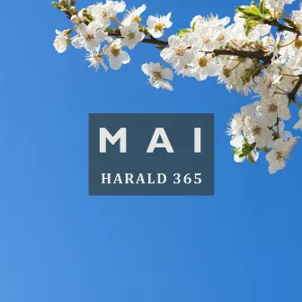 Mai by Harald 365