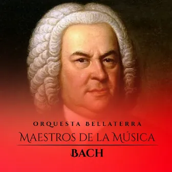 Maestros De La Música: Bach by Orquesta Lírica Bellaterra