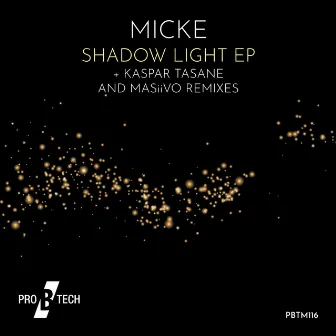 Shadow Light by Micke