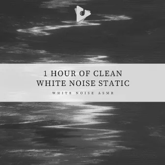 1 Hour of Clean White Noise Static by ASMR Studying Sounds