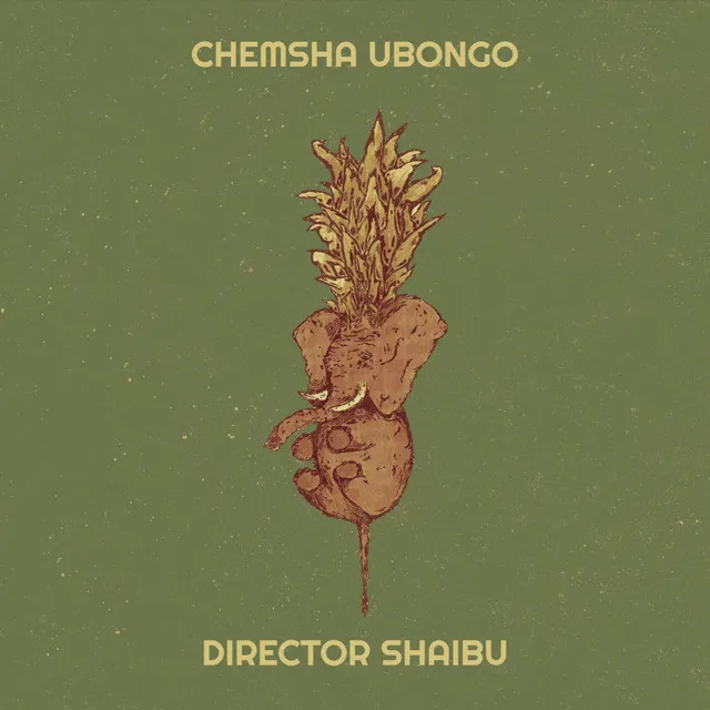 Chemsha Ubongo