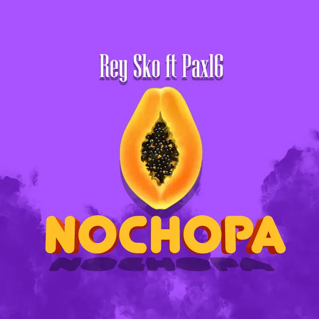 Nochopa