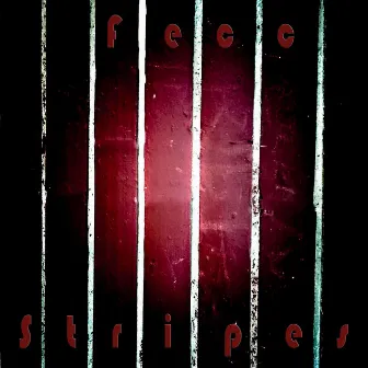 Stripes by Fecc