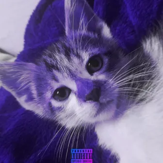 My Cat Made a Phonk by Bgnzinho