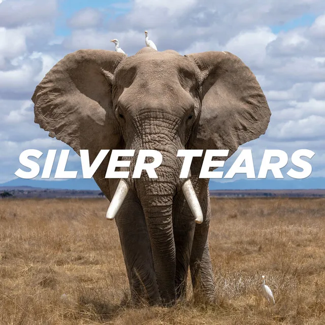 Silver Tears - Monty Luke Remix