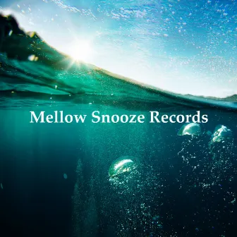 Mellow Snooze Records by Sleeping Music Zone