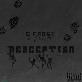 Perception by G Frost