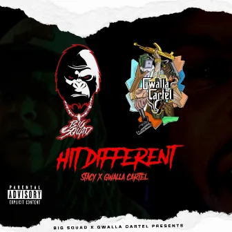 Hit Different by Gwalla Cartel