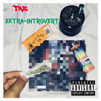 The Extra-Introvert by TJ Spacey