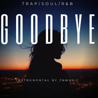 Goodbye by Znmusic