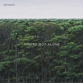 You're Not Alone by Semisonic