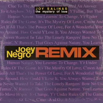 The mystery of love (Joey Negro Remix) by Joy Salinas