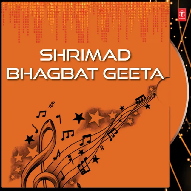 Shrimad Bhagbat Geeta Vol.4