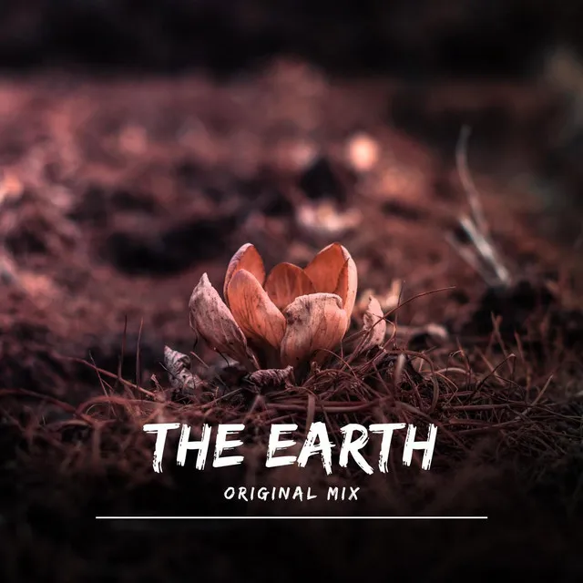 The Earth