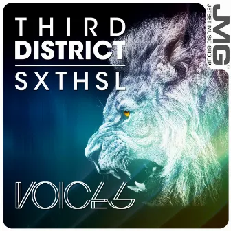 Voices by Third District