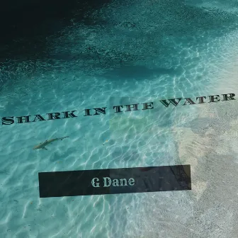 Shark in the Water by G Dane