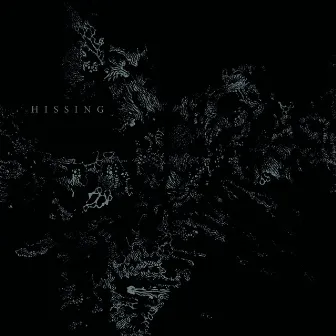 S/T by Hissing