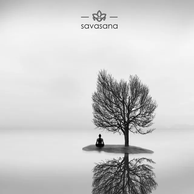 Meditative Focus Music - Ambient Music