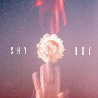 SHY BOY by K Penny