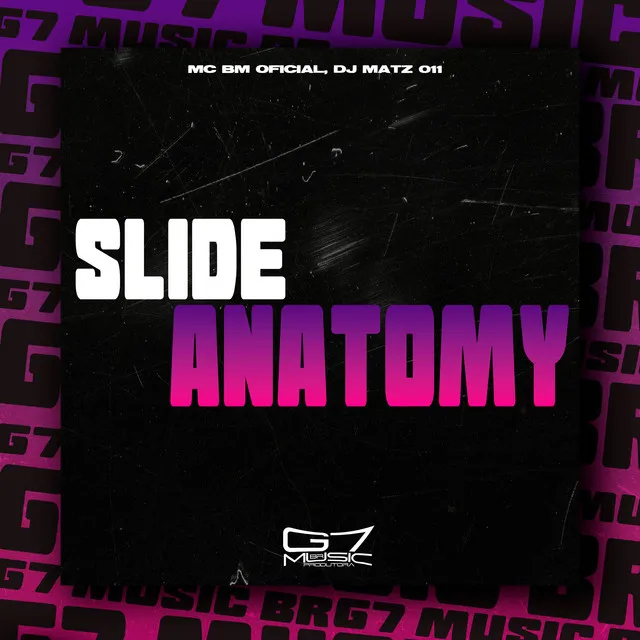 Slide Anatomy