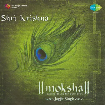 Moksha - Shri Krishna by Brij Bhushan Kabra