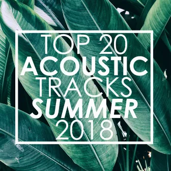 Top 20 Acoustic Tracks Summer 2018 (Instrumental) by Guitar Tribute Players