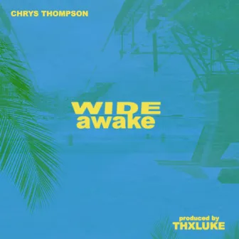 Wide Awake by CHRYS THOMPSON