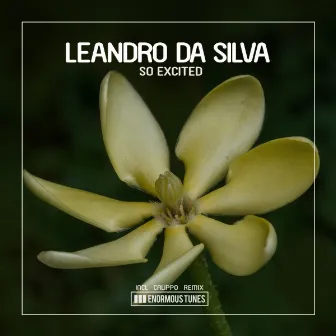 So Excited by Leandro Da Silva