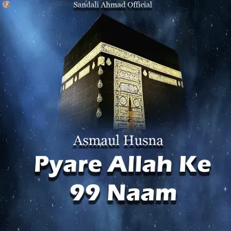 Pyaare Allah Ke 99 Naam (Asma-ul-Husna) by Shakil Ahmad