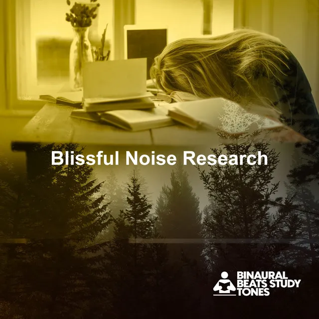 Blissful Noise Research