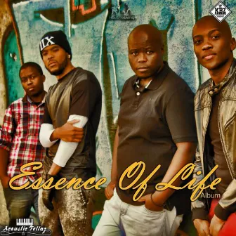 Essence Of LIfe by Acoustic Fellaz