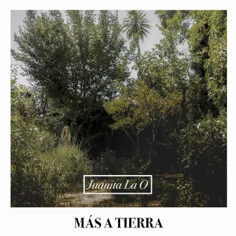 Más a Tierra by Juanita La O