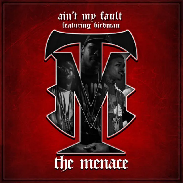 Ain't My Fault (feat. Birdman) - Single