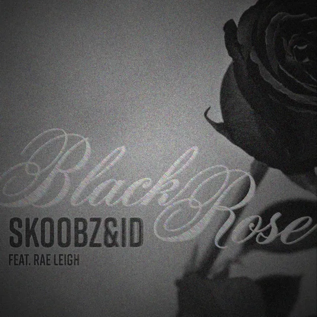 Black Rose