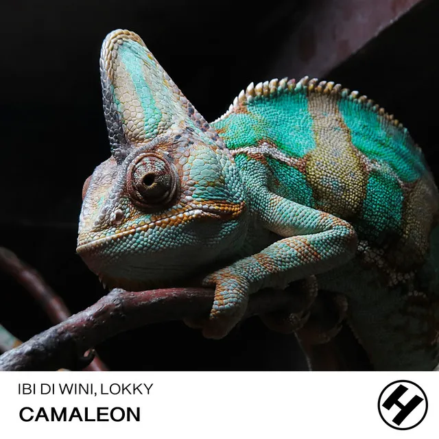 Camaleon