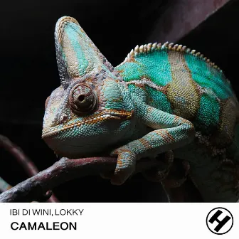 Camaleon by Lokky