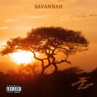 Savannah by Joe L.F