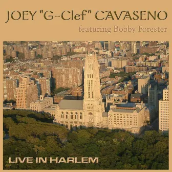 Live in Harlem by Joey 