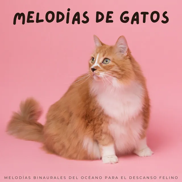 Melodías De Gatos: Melodías Binaurales Del Océano Para El Descanso Felino