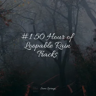 #1 50 Hour of Loopable Rain Tracks by Rain Shower Spa