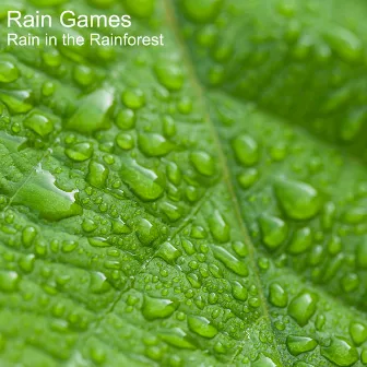 Rain in the Rainforest by Rain Games