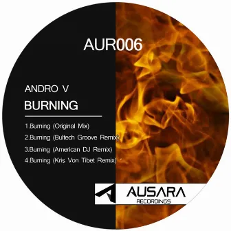 Burning by Andro V