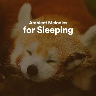 Ambient Melodies for Sleeping by Ambient Music