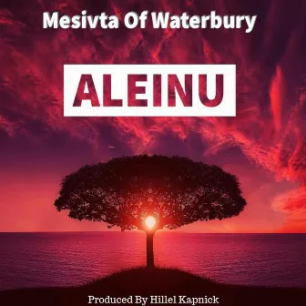 Aleinu by Waterbury Mesivta