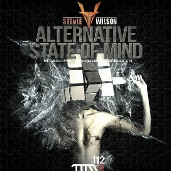 Alternative State Of Mind by Stevie Wilson