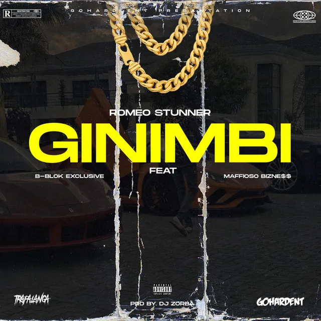 GINIMBI