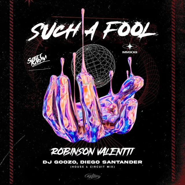 Such a Fool - DJ Goozo & Diego Santander Circuit Mix 2024