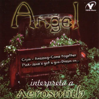 Interpreta A Aerosmith by Angel